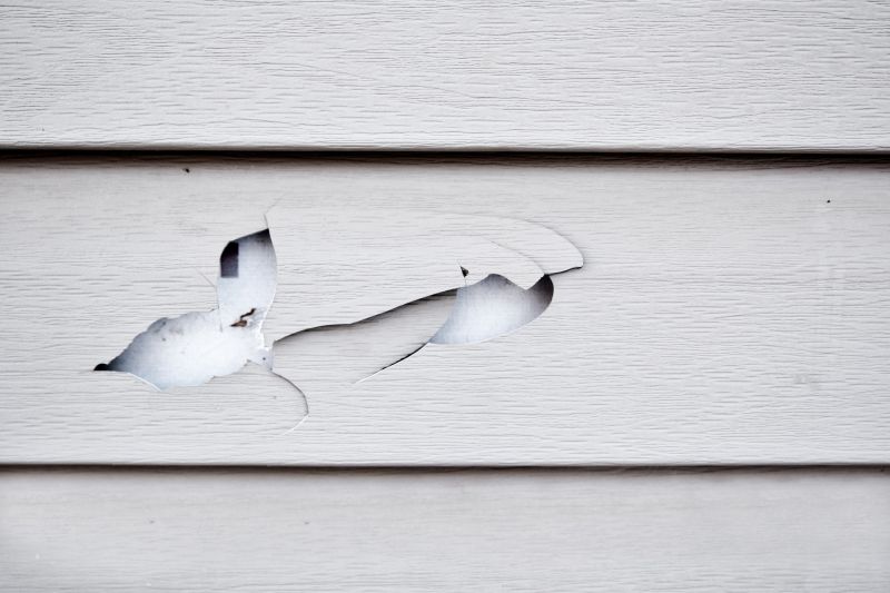 Damaged Siding Repair