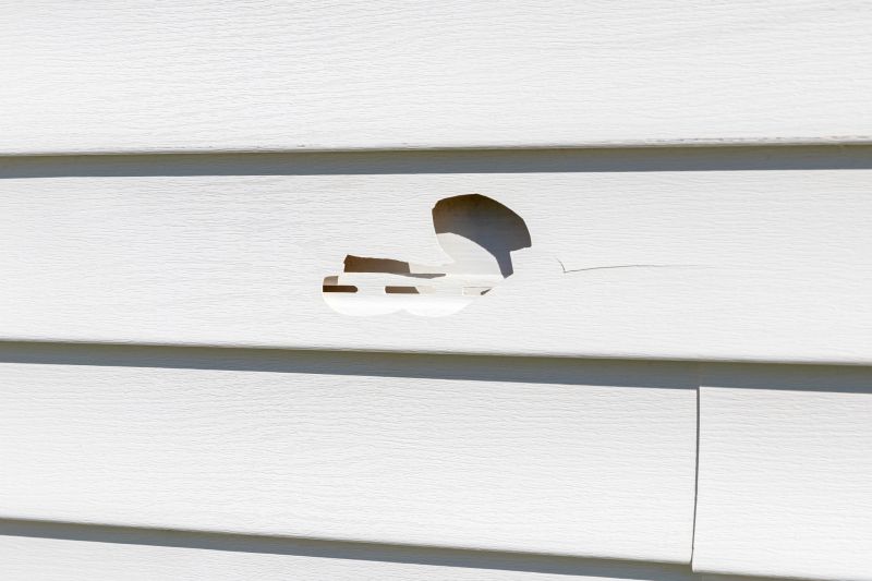 Damaged Siding Repair