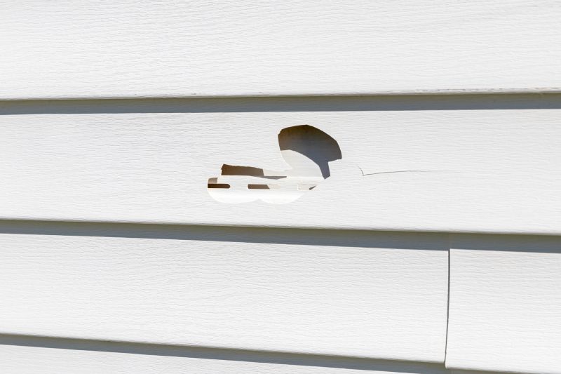 Damaged Siding Repair