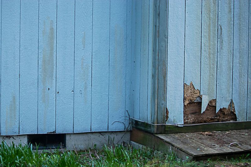 Damaged Siding Repair