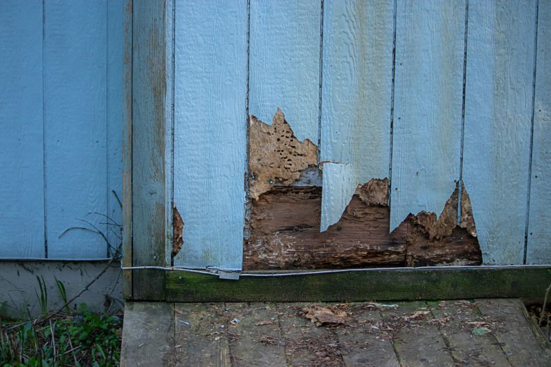 Damaged Siding Repair