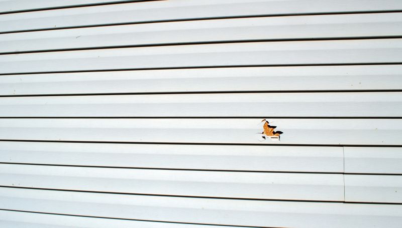 Damaged Siding Image 2