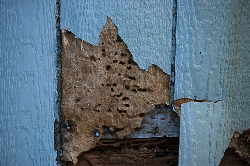 Extends Siding Lifespan